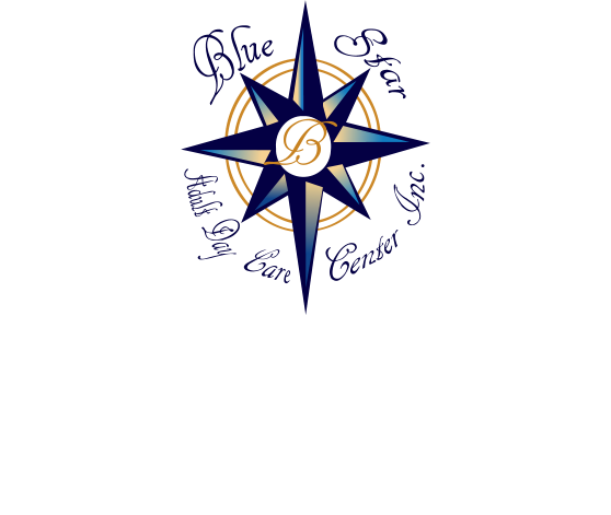 BLUE STAR ADULT DAY CARE CENTER INC